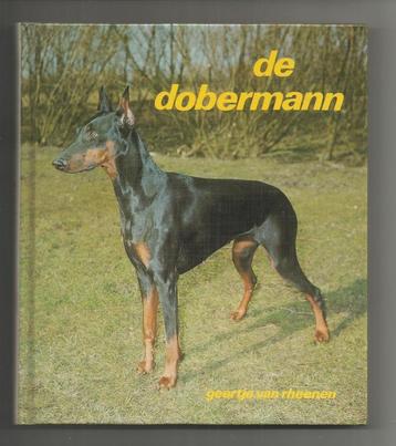 De dobermann - Geertje van Rheenen   beschikbaar voor biedingen