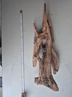 Kienhout aquarium, Dieren en Toebehoren, Vissen | Aquaria en Toebehoren, Ophalen of Verzenden, Plant(en), Steen of Hout