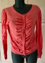 Vestje Summum mt 40, Kleding | Dames, Truien en Vesten, Maat 38/40 (M), Summum Woman, Oranje, Ophalen of Verzenden