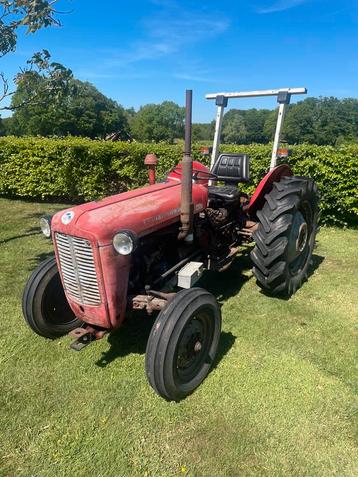 Massey Ferguson 35X FE35 beschikbaar voor biedingen