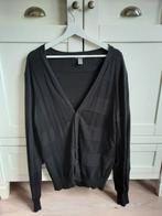H&M Net Zwart Herenvest Vest Cardigan Maat M, Kleding | Heren, Truien en Vesten, Ophalen of Verzenden, Zo goed als nieuw, Maat 48/50 (M)