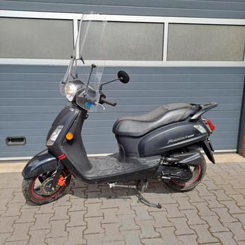 Sym Fiddle S 2 beschikbaar voor biedingen