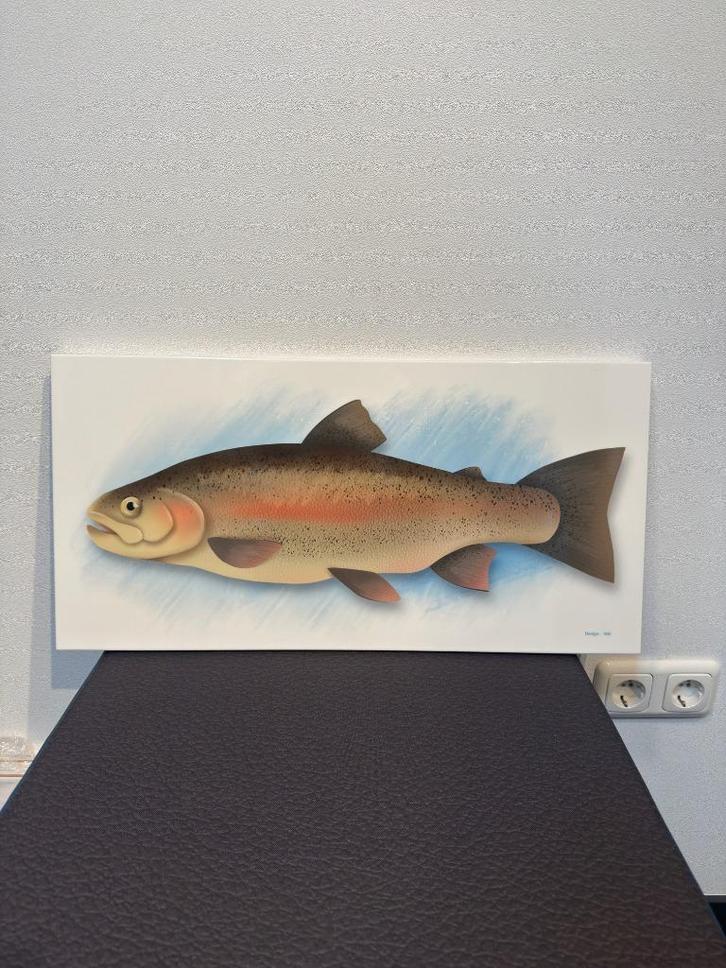 Grote keramische wandtegel - regenboogforel – 30 x 60 cm., Antiek en Kunst, Antiek | Wandborden en Tegels, Ophalen