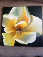 2 leuke schilderijen, Antiek en Kunst, Ophalen