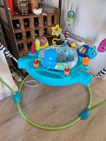 Baby Einstein Ocean Explorers Curiosity Cove beschikbaar voor biedingen