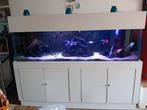 Aqaurium 200x60x60cm met biologisch filter, Ophalen