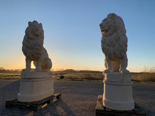 XXL Leeuwen beelden op sokkel, Tuin en Terras, Tuinbeelden, Gebruikt, Dierenbeeld, Steen, Ophalen