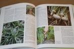Handboek voor de moestuin - Zelf kweken groenten fruit kru, Boeken, Ophalen of Verzenden, Gelezen, Moestuin