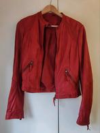 Claudia Sträter Leren Jas Rood Maat 40, Maat 38/40 (M), Ophalen of Verzenden, Zo goed als nieuw, Claudia Sträter