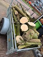 Brandhout haardhout, Tuin en Terras, Haardhout, Minder dan 3 m³, Ophalen of Verzenden