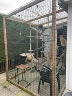 Kattenren 2.00x1.80x3.60 m, Dieren en Toebehoren, Ophalen, Zo goed als nieuw