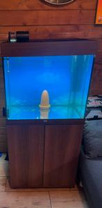 Juwel Lido 120, Dieren en Toebehoren, Vissen | Aquaria en Toebehoren, Ophalen of Verzenden, Leeg aquarium