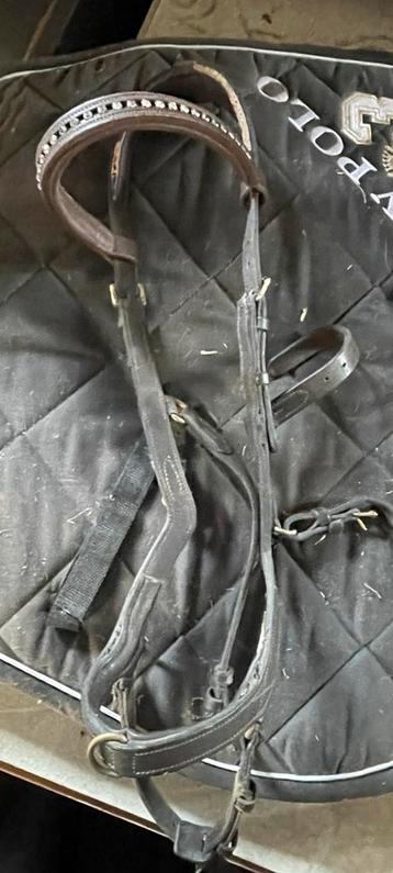 Rambo Micklem Milti Bridle beschikbaar voor biedingen