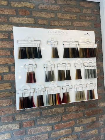 Schwarzkopf colorbord