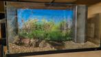 Aquarium 30-80, Dieren en Toebehoren, Vissen | Aquaria en Toebehoren, Ophalen, Zo goed als nieuw, Gevuld zoetwateraquarium