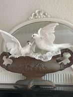 Opgezette witte duiven taxidermie, Ophalen of Verzenden