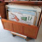Partij 50 x schoolplaten wandplaten diverse soorten., Ophalen