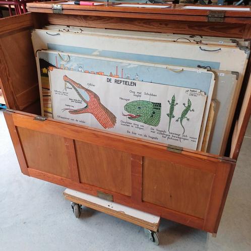 Partij 50 x schoolplaten wandplaten diverse soorten., Antiek en Kunst, Antiek | Schoolplaten, Ophalen