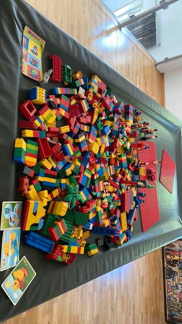 Duplo ruim 11 kilo beschikbaar voor biedingen