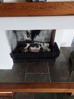 Complete Gashaard met Elektrische Ontsteker, Huis en Inrichting, Haarden, Ophalen, Gebruikt, Inzethaard, Gashaard