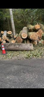 Haard hout, 6 m³ of meer, Ophalen of Verzenden, Overige houtsoorten, Blokken