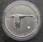 Zilver 2 Oz Canada Goose, (2020), lees, Ophalen of Verzenden, Noord-Amerika, Losse munt, Zilver