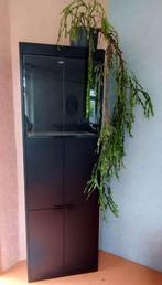 Pastoe zwarte kast met vitrine. Vintage, Ophalen, 200 cm of meer, Modern strak, 50 tot 100 cm