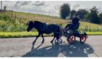 TK: super fijne, lichte enkelspan marathonwagen!, Dieren en Toebehoren, Rijtuigen en Koetsen, Gebruikt, Marathonwagen, Pony, Gesloten