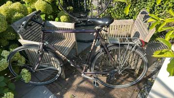 Giant expedition beschikbaar voor biedingen