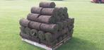 Graszoden 1m2 per rol €4,95 - 250x40cm, Ophalen of Verzenden, Nieuw, 20 m² of meer, Gras