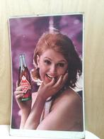 Royal Crown Cola, kartonnen bord., Ophalen of Verzenden, Gebruikt