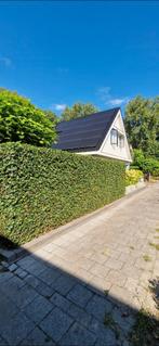 Tuinman / klusjesman aangeboden, Diensten en Vakmensen, Tuinmannen en Stratenmakers