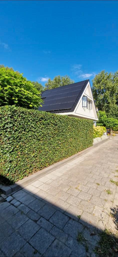 Tuinman aangeboden, Diensten en Vakmensen, Tuinmannen en Stratenmakers, Tuinonderhoud of Snoeiwerk