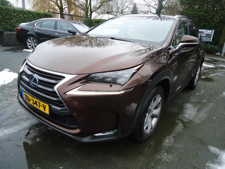 Lexus NX 300H 2.5 E-cvt AWD 2016 Bruin, Auto's, Lexus, Bedrijf, NX, 4x4, ABS, Achteruitrijcamera, Adaptieve lichten, Adaptive Cruise Control