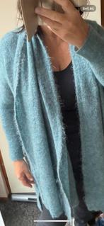 No Man’s Land vest met sjaal maat 42, Kleding | Dames, Ophalen of Verzenden, Zo goed als nieuw, Maat 42/44 (L)