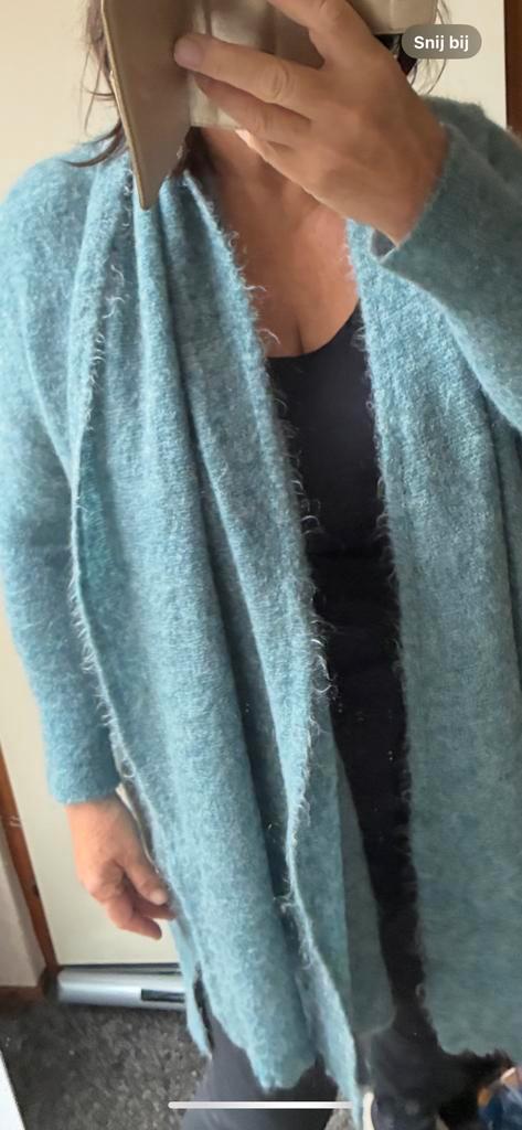 No Man’s Land vest met sjaal maat 42, Kleding | Dames, Truien en Vesten, Zo goed als nieuw, Maat 42/44 (L), Ophalen of Verzenden