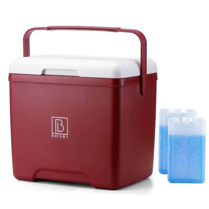 Brisby 13 Liter Koelbox Inclusief 2 Koelelementen - NIEUW, Caravans en Kamperen, Koelboxen, Nieuw, Koelbox, Koelelement, Ophalen