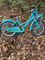 Kinderfiets meisjes, Fietsen en Brommers, Fietsen | Meisjes, Ophalen, Gebruikt, 20 inch, Alpina