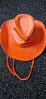 Hoedjes carnaval, Ophalen of Verzenden, Zo goed als nieuw, One size fits all