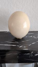 Twee struisvogel eieren, Antiek en Kunst, Ophalen