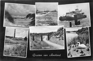 (381-497-011) Groeten van Ameland beschikbaar voor biedingen