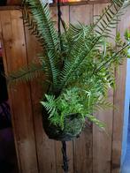 Kunstplant hangplant varen (3 stuks), Huis en Inrichting, Ophalen