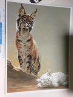Illustratie / tekening Frank Pé: lynx en huiskat - 40x30cm, Antiek en Kunst, Ophalen of Verzenden