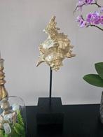 Mooie gouden schelp op voet, Huis en Inrichting, Ophalen of Verzenden, Zo goed als nieuw