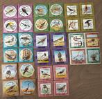 Koeweit 1973 Vogels - Ongebruikt, Ophalen of Verzenden, Postfris, Midden-Oosten