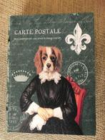 Opbergdoos in boekvorm / Geschenken / Decoratieve doos, Huis en Inrichting, Woonaccessoires | Overige, Ophalen of Verzenden, Zo goed als nieuw