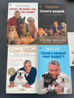 Cesar millan boeken en honden lichaamstaal, Honden, Ophalen of Verzenden, Zo goed als nieuw