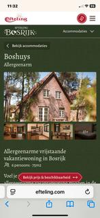 4 daagse arrangement winter Efteling met huisje en parkeren, Ophalen of Verzenden, Zo goed als nieuw, Overige typen