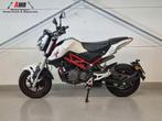 BENELLI TORNADO NAKED T TNT 125 A1 GROM MSX  (bj 2019), Motoren, Motoren | Benelli, Bedrijf, Onbekend, 125 cc, BENELLI
