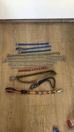 Diverse hondenhalsbanden/accessoires, Dieren en Toebehoren, Ophalen, Gebruikt, Hondenriem-accessoire